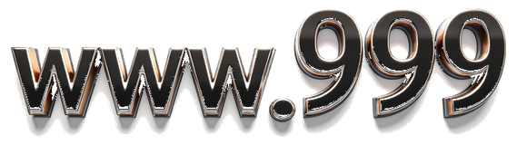 www999 logo